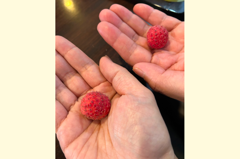 介護サポート支援